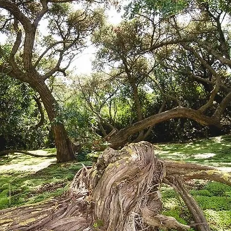 Stella Del Sud 3* Calasetta